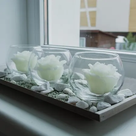 Appartement Kivi Apartamentai Palangoje