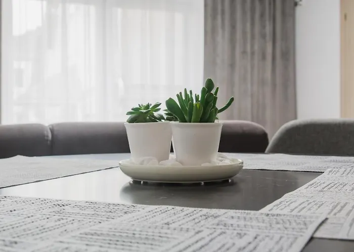 Kivi Apartamentai Palangoje * Palanga