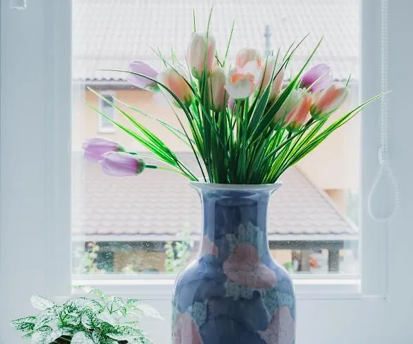 Kivi Apartamentai Palangoje Apartmán